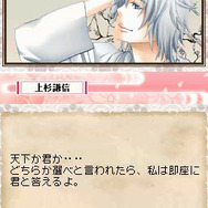 天下一★戦国LOVERS DS