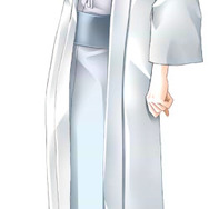 天下一★戦国LOVERS DS