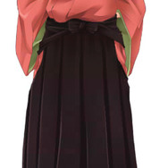 天下一★戦国LOVERS DS