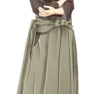 天下一★戦国LOVERS DS