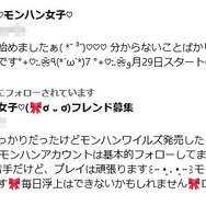 「モンハン女子」がSNSのトレンドに。「姫プレイ」の是非が問われる……というかそんなもの、本当にあるのか!?