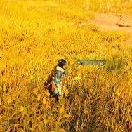 『モンスターハンターワイルズ』生存戦略から何を学ぶ？モンスターの観察から生態を考察する