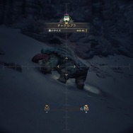 『モンスターハンターワイルズ』生存戦略から何を学ぶ？モンスターの観察から生態を考察する