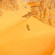 『モンスターハンターワイルズ』生存戦略から何を学ぶ？モンスターの観察から生態を考察する