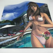 PSPなのに“揺れ”がすごい『DEAD OR ALIVE Paradise』でグラビア見に行ったら身ぐるみはがされた