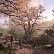 『アサクリシャドウズ』全体的な安定化を図りフォトモードのクラッシュを修正する、発売後初のタイトルアプデ配信