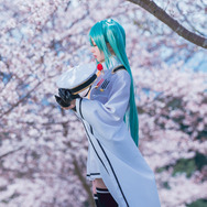 初音ミク／鯱綴（X：@Shachidu777）