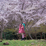 初音ミク／鯱綴（X：@Shachidu777）