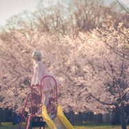 ロリータ服／Mimmissu17（x：@Mimmi_official）、撮影：uhimaru（X：@uhimaru999）