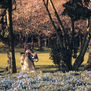 西行寺幽々子『東方Project』／さら（x：@sara_cospure）、撮影：uhimaru（X：@uhimaru999）