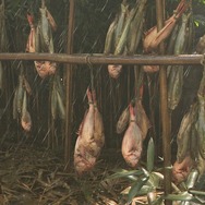 『アサシン クリード シャドウズ』を料理系ゲームライターが遊ぶと「突撃！隣の晩ごはん」になってしまった【フォトレポ】