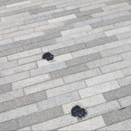 アイルーと触れ合って、リオレウスと戦える！大阪・関西万博『モンハン ブリッジ』は“全身”で味わう唯一無二コンテンツ【先行体験会レポ】