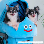 『ドラクエ』スライムのドーム型ハウスや『FF7』バスターソード爪とぎなど、可愛いアイテム多数！スクエニのペットブランド「SQEX PETs」が予約受付中