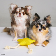 『ドラクエ』スライムのドーム型ハウスや『FF7』バスターソード爪とぎなど、可愛いアイテム多数！スクエニのペットブランド「SQEX PETs」が予約受付中