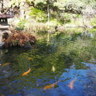 『ヘブンバーンズレッド』×「豊島園 庭の湯」コラボフォトレポート。『ヘブバン』コラボジャグジーにコラボグッズと目白押し！