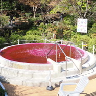 『ヘブンバーンズレッド』×「豊島園 庭の湯」コラボフォトレポート。『ヘブバン』コラボジャグジーにコラボグッズと目白押し！