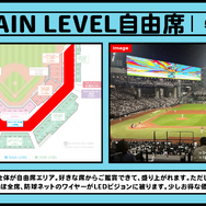 「にじホロ交流戦2025」ルール、グッズ、チケット情報まとめ―にじさんじ、ホロライブが『プロスピ2024-2025』で直接対決
