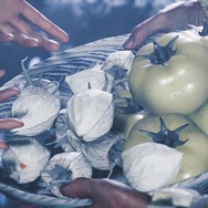 『モンハンワイルズ』“シルドの里”の質素な料理、未だに話題に―アプデ新要素でも注目される彩りないご飯