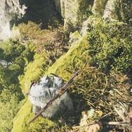 『モンハンワイルズ』大集会所に隠れる「巨大フワフワクイナ」にもう会った？可愛らしい仕草にキュン―時々アイテムもくれる