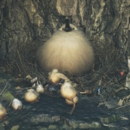 『モンハンワイルズ』大集会所に隠れる「巨大フワフワクイナ」にもう会った？可愛らしい仕草にキュン―時々アイテムもくれる