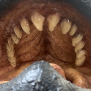 お値段12万円、抱えるほどのビックサイズ！「ガメラ（1995）」スーツ頭部を再現したヘッドモデルのクオリティが凄まじい