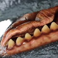 お値段12万円、抱えるほどのビックサイズ！「ガメラ（1995）」スーツ頭部を再現したヘッドモデルのクオリティが凄まじい