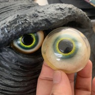 お値段12万円、抱えるほどのビックサイズ！「ガメラ（1995）」スーツ頭部を再現したヘッドモデルのクオリティが凄まじい