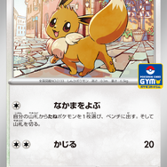 「ポケモンカードストア」がアトレ川崎に期間限定オープン！プロモカード「イーブイ」がもらえるイベントも