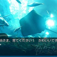 うみねこのなく頃に ~魔女と推理の輪舞曲~