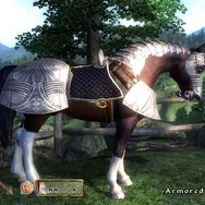 非難轟々だった『オブリビオン』約300円の「馬の鎧」DLC…若者には伝わらない?当時と今で変わった価値観