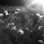 四季映姫／『東方Project』翠葉木（X:@310re45）【Leica M3+周Elcan+ILFORD DELTA3200】