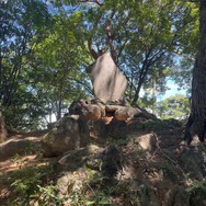 現実でも“天城越え”がしたい！『ペルソナ4』天城雪子に出会ってから、10年以上も人生が狂い続けている話