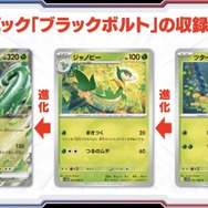 ポケカ』新弾「ブラックボルト/ホワイトフレア」初公開
