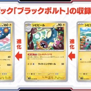 23 ポケモンカード BWなどまとめ売り　600枚ほど 9kg ポケカ まとめ売り 引退品 c u BW XY ポケモンカード 大量