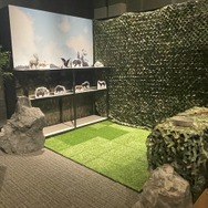 まるで縁日の屋台！アトラクション満載の『黒い砂漠』10周年感謝祭イベントレポート―交流深める“名刺交換”もユニーク