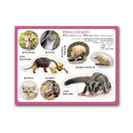 マクドナルドにて、映画「マイクラ」と「ちいかわ」のハッピーセットが期間限定で販売！ハチワレたちも歴代クルーのユニフォーム姿に