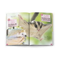 マクドナルドにて、映画「マイクラ」と「ちいかわ」のハッピーセットが期間限定で販売！ハチワレたちも歴代クルーのユニフォーム姿に