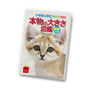 マクドナルドにて、映画「マイクラ」と「ちいかわ」のハッピーセットが期間限定で販売！ハチワレたちも歴代クルーのユニフォーム姿に