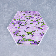 『FGO』 “アルトリア・キャスター”が第二再臨姿で立体化！選定の杖同梱で宝具「きみをいだく希望の星」が再現可能