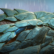 『黒い砂漠』が10年続いた理由とは？ 人気ストリーマー達に老舗MMORPGが持つ“唯一無二の面白さ”を訊いた