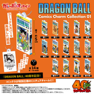 ドラゴンボールノート25年前アニメイトにて購入希少 ドラゴンボール」コミックスがミニチュア化！質感再現の紙箱仕様