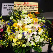 シリーズ30周年を締めくくるファン感涙の4時間！『ときメモ』30thライブレポ