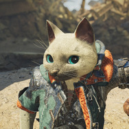 これで俺もアイルーだ！シリーズ恒例のネタ装備「アイルーフェイク」が『モンハンワイルズ』に実装―リアリティさもマシマシに