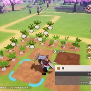 『龍の国 ルーンファクトリー』時間制限はあれど期限はなく、その冒険はあなただけのもの！未経験者の入門にも最適な“丁寧かつ自由な冒険”がここに