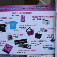 【TGS 2010】一般公開日が開幕・・・やっぱりゲームは大人気