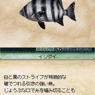 サバイバルキッズ 小さな島の大きな秘密!?