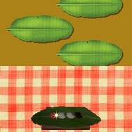 サバイバルキッズ 小さな島の大きな秘密!?