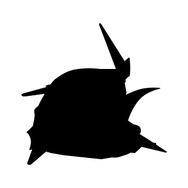 ダブルオーとオーライザーは合体可能！「ガンダム コンバージ」第28弾のラインナップ解禁―「白いガンダム」「ジム・カスタム」も揃った全7種