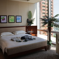 『ポケモン』ピカチュウやカビゴンたちとリゾート気分！1日1室限定の特別な宿泊プランをレポート「ポケモン コラボレーション サマー 2025」夢の南国気分が最高だった