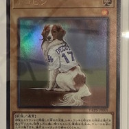 ※画像は大谷翔平選手のInstagramより引用。